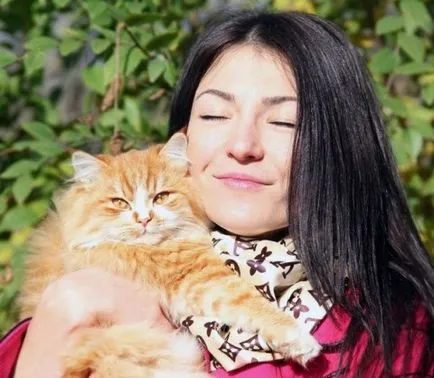 Извадки от ръководството права съдържание на за котки, джинджифил котка