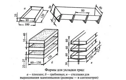 Отглеждане на гъби у дома процес технология