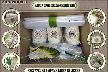 Мицел расте кладници у дома сами по себе си или да си купите