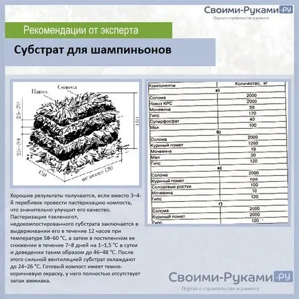 Отглеждане на гъби у дома стъпка по стъпка техника!