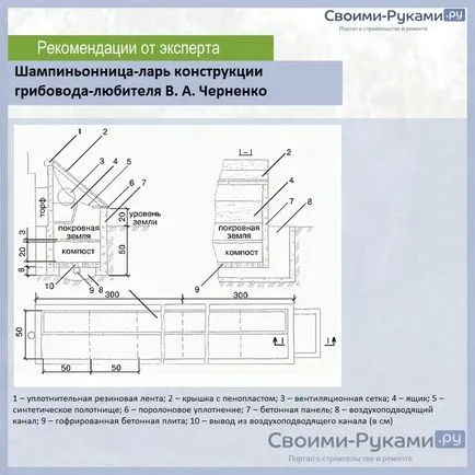 Отглеждане на гъби у дома стъпка по стъпка техника!