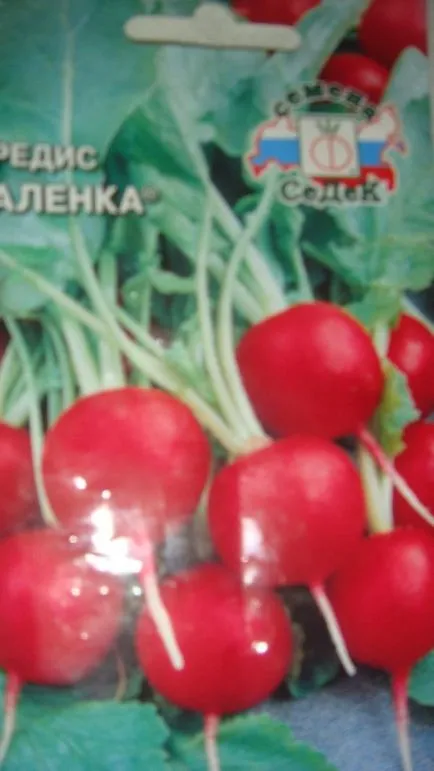 Отглеждане репички в оранжерия