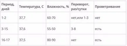 Пъдпъдък в условията домашната клетка
