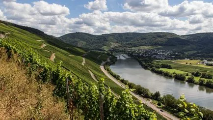 Какво е Ризлинг