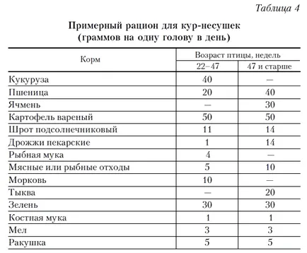 Как да се размножават пиле
