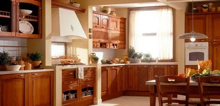 Аспиратор в кухнята - Снимка 50 възможности, как да изберем аспиратор