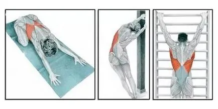 гръбначния тяга в дома