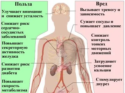Има кафе лошо и какво ще се случи, ако пиете прекалено много от него (ще бъде) Има кафе лошо и какво ще се случи, ако пиете прекалено много от него