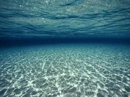 На подземните води, черупката