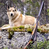 В България е разрешено да носят оръжие за самозащита ново в тази година на Закона за оръжие (наказание за извършване на оръжия) В България е разрешено да носят оръжие за самозащита в новия закон за оръжията тази година
