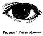 Природата на човека в очите
