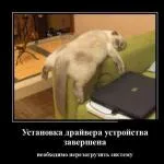 Искам да обичам човек, но за да се комуникира с него, имам нужда да общуват с неговата компания