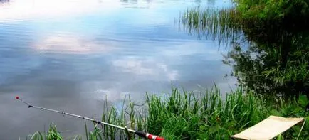 Добър риболов в покрайнините на града за свободно и да прекарат време продуктивно