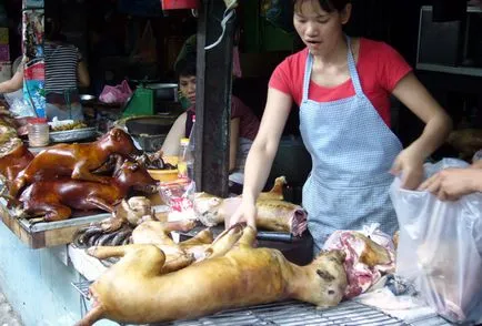 В Южна Корея, те се хранят кучета