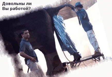 Искам да печеля много пари