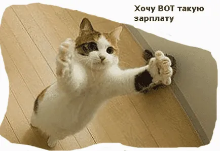 Искам да печеля много пари
