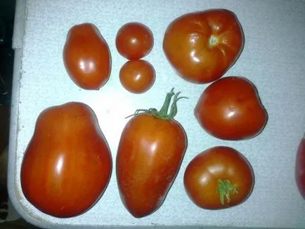 Apple на любовта 