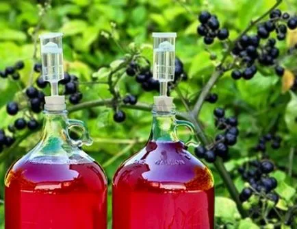 Бери Sunberry описание на официалния сайт, полезни свойства, засаждане и отглеждане, съвети