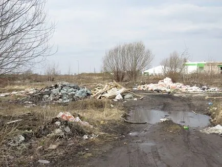 Диви животни в града