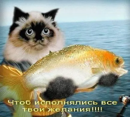 Желания и мечти, по пътя към съвършенството