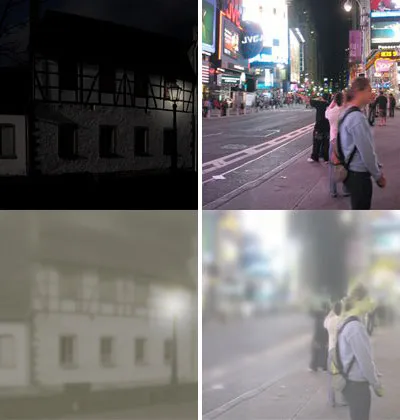 виждане котки