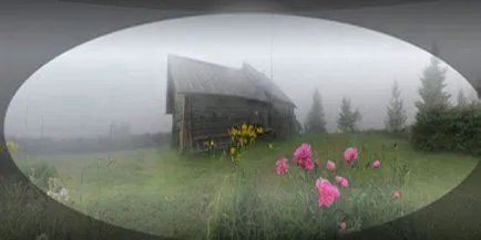 Гледката на преглед кон, фокус, острота, ретината, снимки