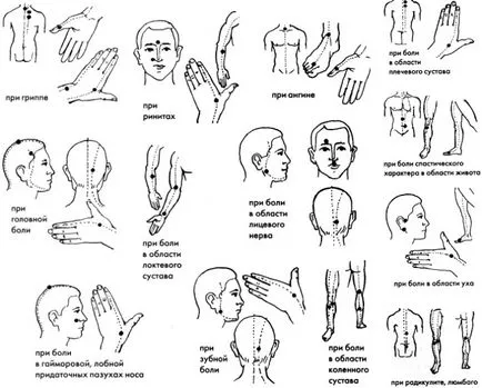 Sprocket от ринит, имоти, и как да се прилагат