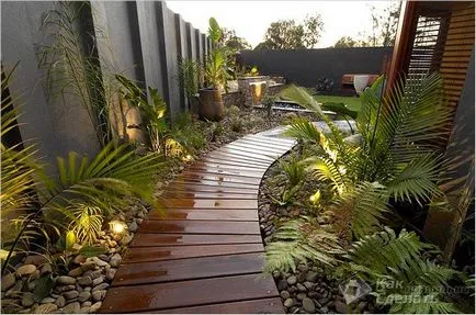 Garden пътя на намаляване на дърво Garden пътя на намаляване на дърво