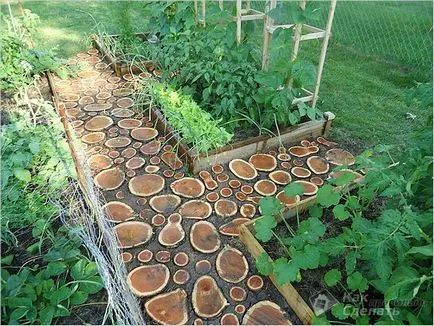 Garden пътя на намаляване на дърво Garden пътя на намаляване на дърво