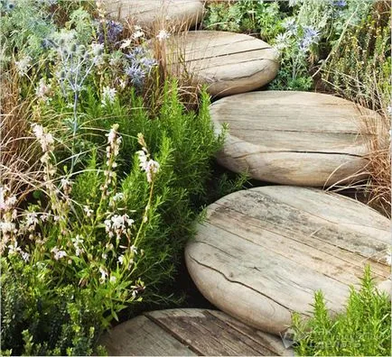 Garden пътя на намаляване на дърво Garden пътя на намаляване на дърво