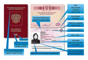 Биометричен паспорт на новия образец се различава от старите, какво се е променило през 2017 г.