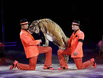 Голям Москва Circus върху цените на билетите Вернадски проспект, ревюта, къде, как, за да получите