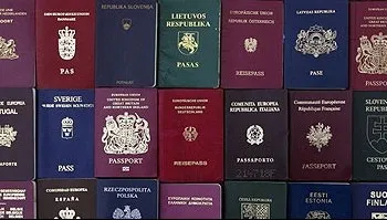 Какво да правите, ако изгубен