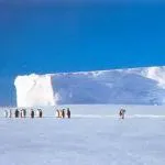 Каква е савана, отговори на въпроси