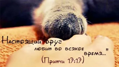 Каква е реалната приятелството (какво истинско приятелство качествени характеристики) Каква е реалната приятелството