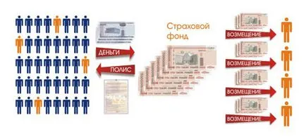 Какво е застрахователна компания и как работи