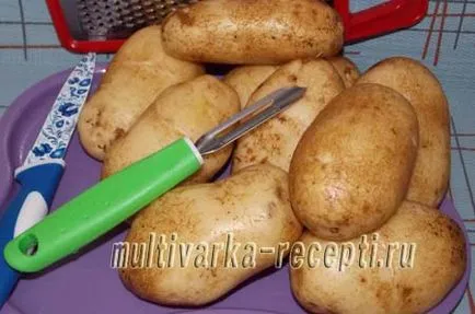 дом нишесте