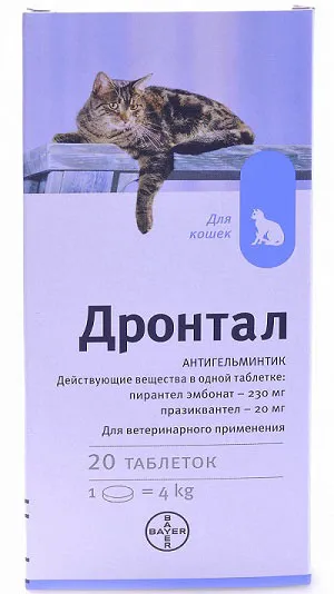 Drontal за мнения котки, инструкции за употреба, противопоказания - murkote за котки и котки (мнения) Drontal за мнения котки, инструкции за употреба, противопоказания - murkote за котки и котки