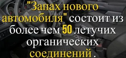 Факти за колите най-интересната информация за автомобилния свят