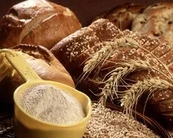 Царевично брашно какво е използването на фуражно зърно