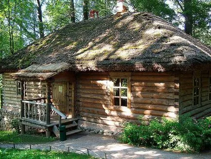 Какво е стъблата