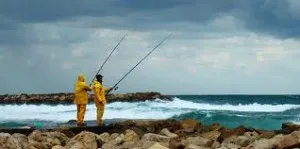 Какво става, ако не е ухапване 