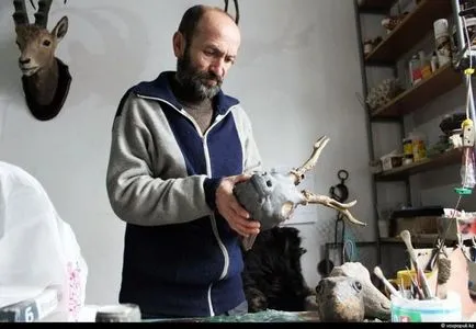 Как да си направим препарирани животни (52 снимки) (фалшиви) Как да си направим препарирани животни (52 снимки)