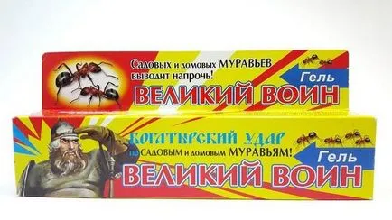 Как да се отървем от мравки в къщата