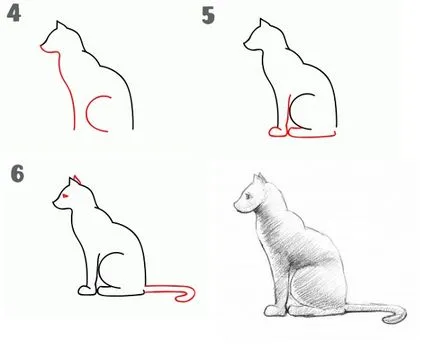 Как да се направи котка на етапи