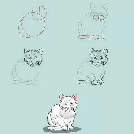 Как да се направи котка на етапи