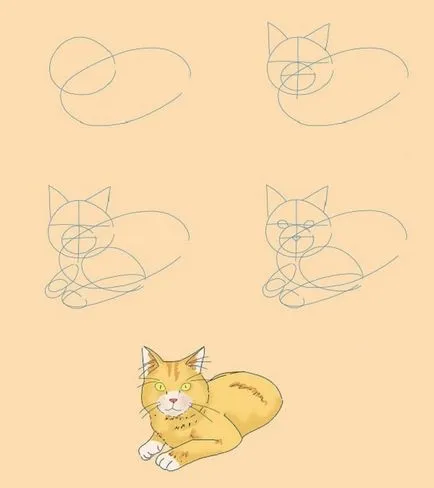 Как да се направи котка на етапи