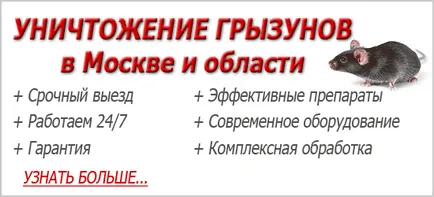Какво миризма боят мишки и плъхове всичко за ароматно защита срещу гризачи