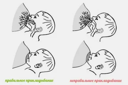 Как да се хранят новородено бебе с кърмата (гърдата)