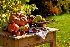 Как да се готви шопска салата рецепта със снимка (шопска салата рецепта как да се подготви на снимката) Как да се готви шопска салата рецепта със снимка